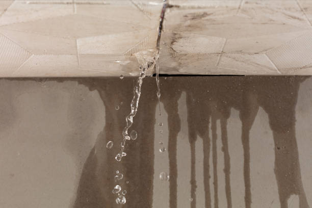 Professional Water Damage Repair technician working in Randolph, UT